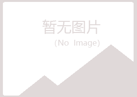 白银平川傲之金融有限公司